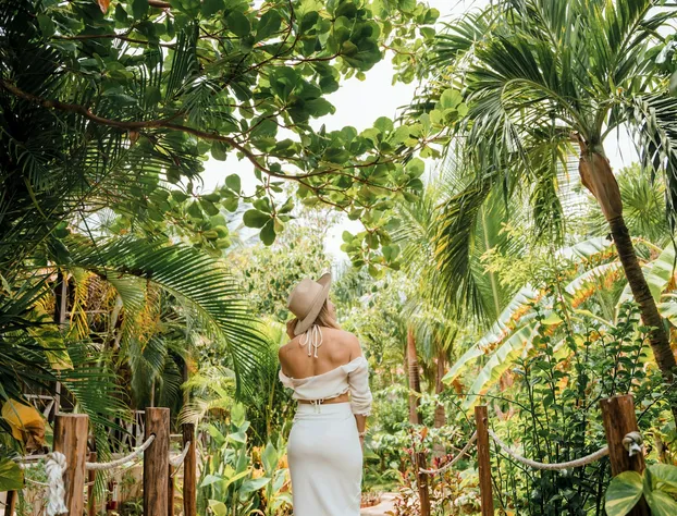 Petit Lafitte Hotel hotel detail image 4