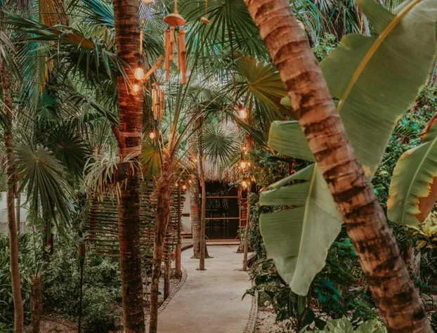 Petit Lafitte Beachfront Hotel & Bungalows hotel detail image 1