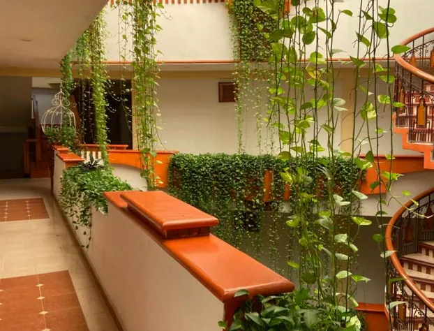 Hotel Báez Carrizal hotel detail image 2