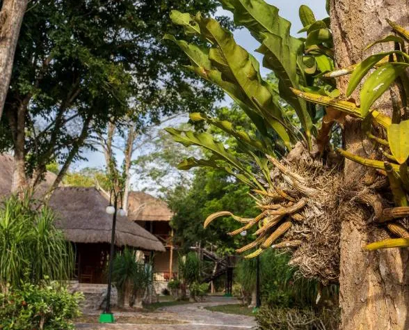 Hotel Villas Chicanna hotel detail image 4