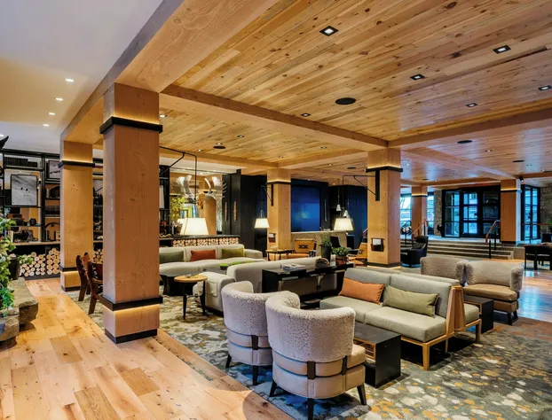 The Cloudveil, Autograph Collection hotel detail image 3