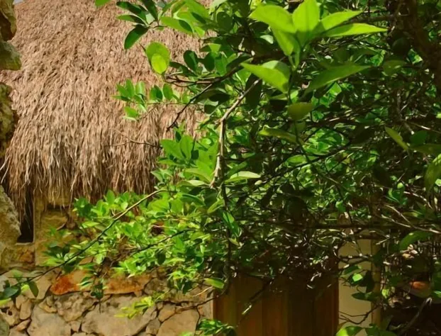 Aldea Che-Eek con acceso a un club de playa privado hotel detail image 4