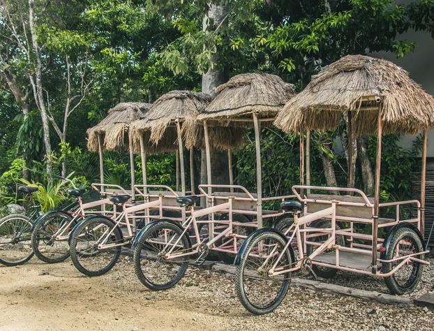 Roc Jungle Tulum hotel detail image 1