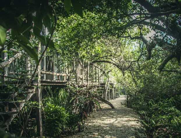 Roc Jungle Tulum hotel detail image 2