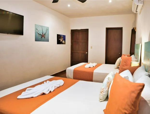 Hotel Museo Matan Ka'an hotel detail image 3