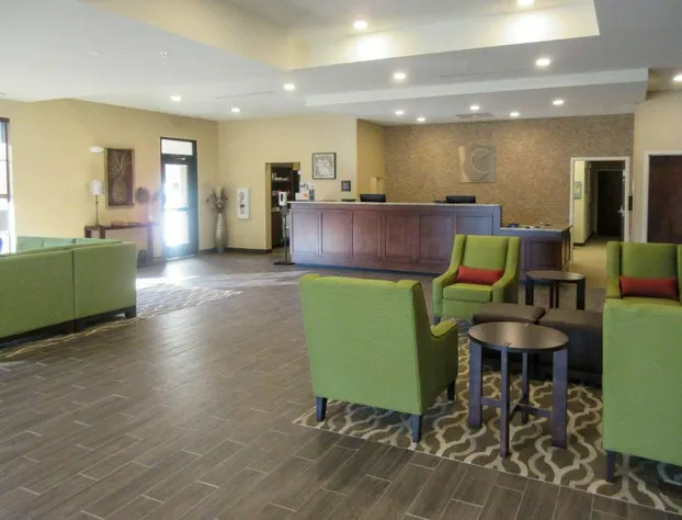 Comfort Suites Summerville hotel detail image 3