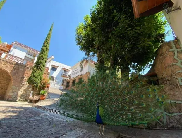 Hotel Posada San Javier hotel detail image 4