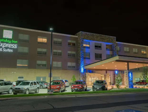 Holiday Inn Express & Suites Orland Park - Mokena by IHG hotel detail image 1