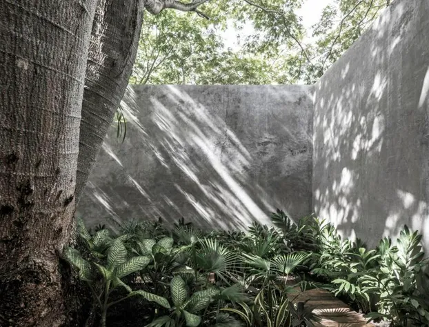 Casa Hormiga hotel detail image 4