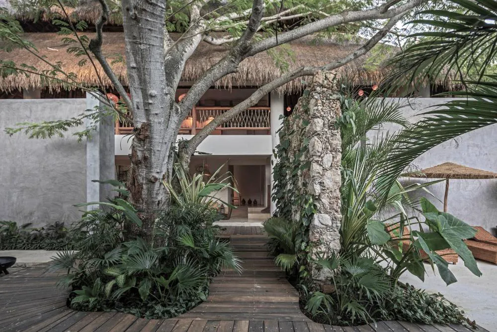 Casa Hormiga hotel hero