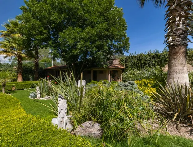 Casa Las Palmas, San Miguel de Allende hotel detail image 3
