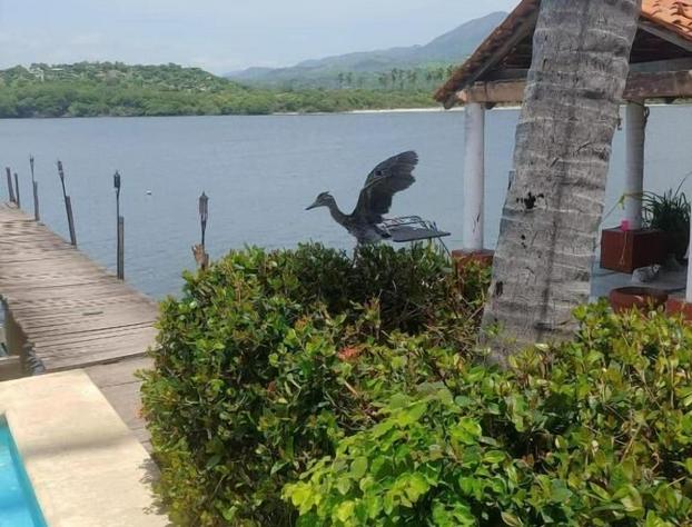 Club Cadena hotel detail image 4