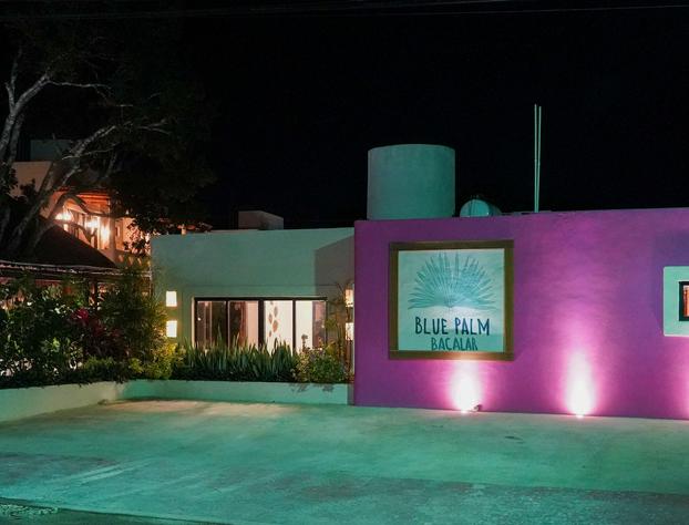 Blue Palm Bacalar hotel detail image 2