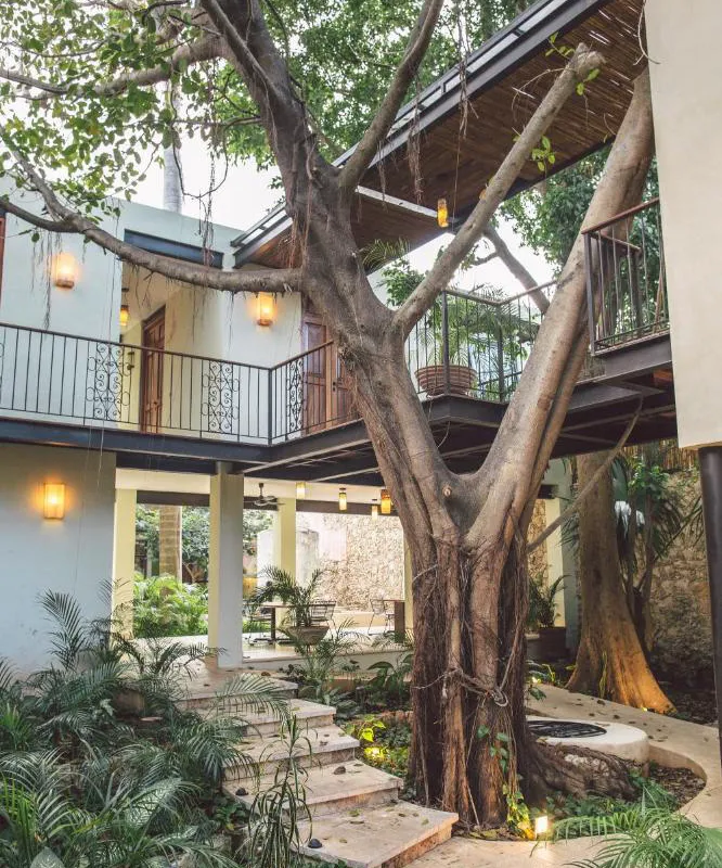 TreeHouse Boutique Hotel - Adults Only hotel hero