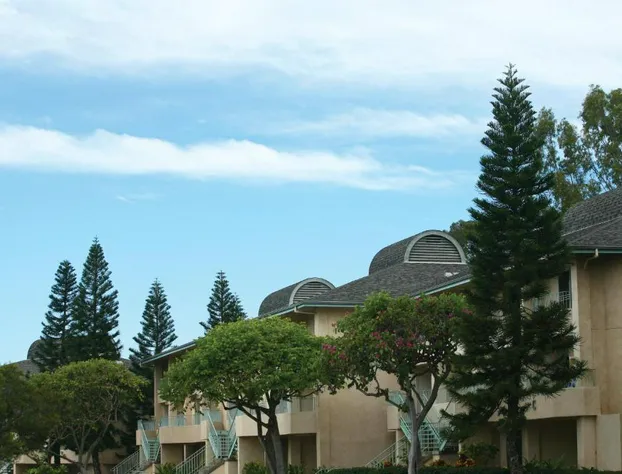 Paniolo Greens At Waikoloa hotel detail image 3