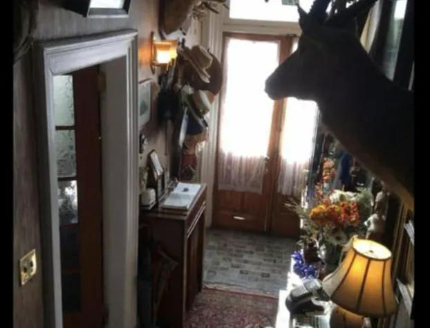 Pimblett's Downtown Toronto B&B hotel detail image 3