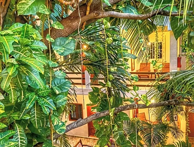 Hotel Hulku hotel detail image 2