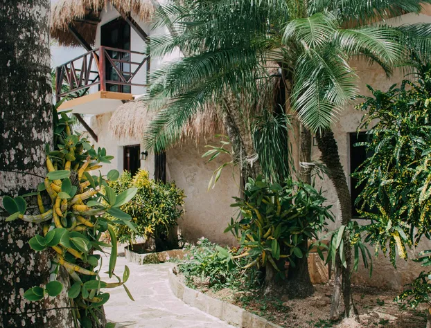 Hotel Howlita Tulum hotel detail image 2