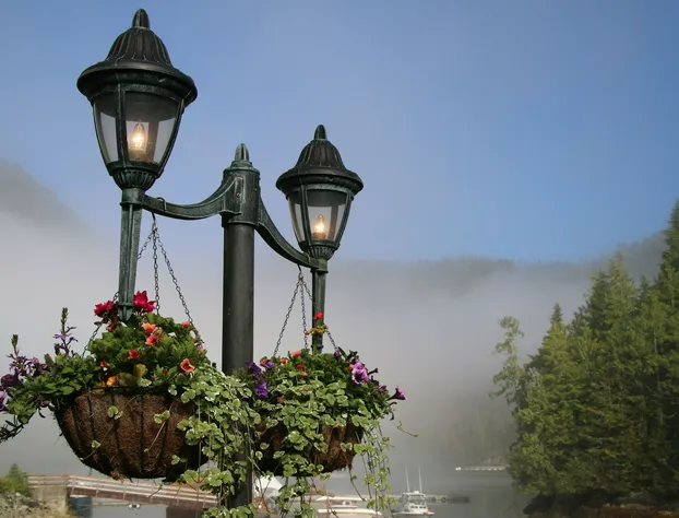 Eagle Nook Resort hotel detail image 2