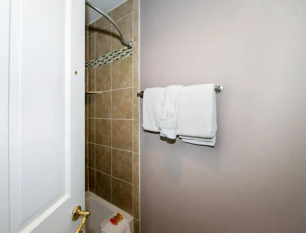 Village at Breckenridge Chateaux by Pinnacle Lodging hotel detail image 4