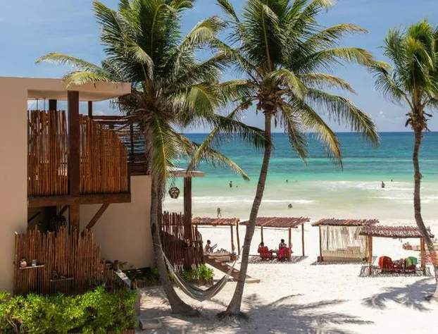 La Zebra Tulum - a Small Luxury Hotel hotel detail image 1