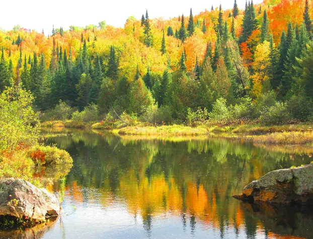 The McAlpine House hotel detail image 2