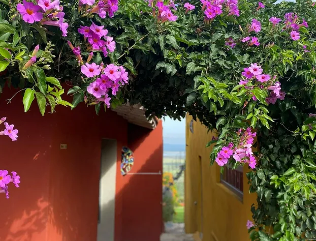 View Hotel Boutique hotel detail image 2