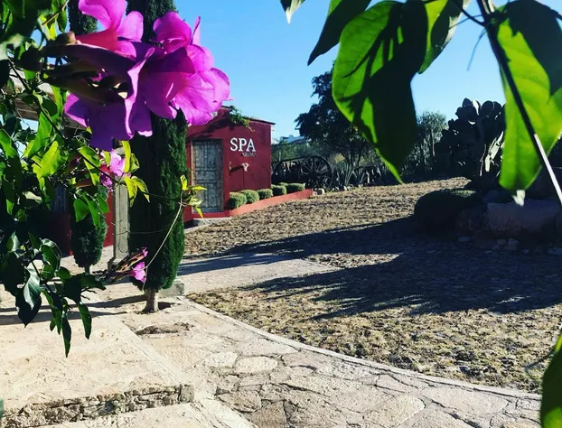 View Hotel Boutique hotel detail image 3