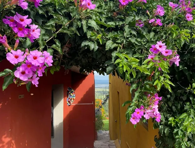 View Hotel Boutique hotel detail image 4