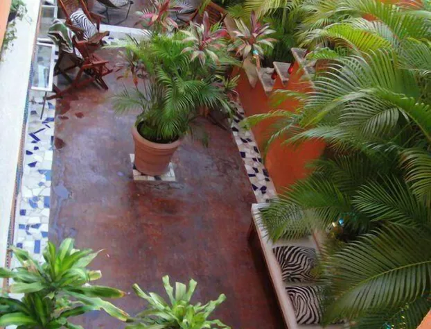 Hostelito Hostal hotel detail image 1