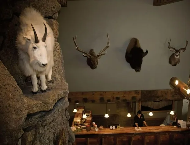 Three Bear Lodge hotel detail image 1