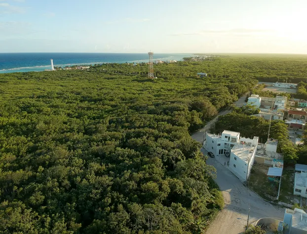 Aruma Luxury Suites Mahahual hotel detail image 1