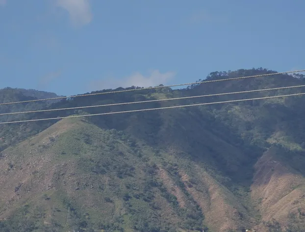 Hotel Insurgentes hotel detail image 3