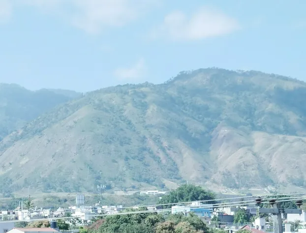 Hotel Insurgentes hotel detail image 4