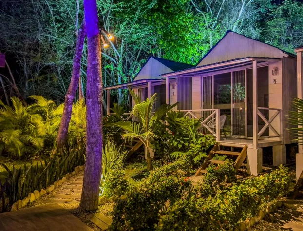 Zensus Eco Boutique Hotel hotel detail image 1