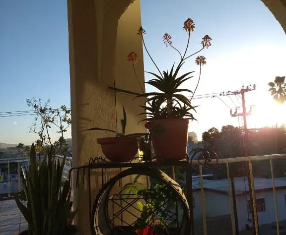 BajaLife Hotel Boutique hotel detail image 4