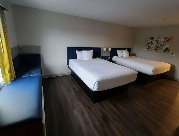 Microtel Inn & Suites by Wyndham Milford hotel detail image 3