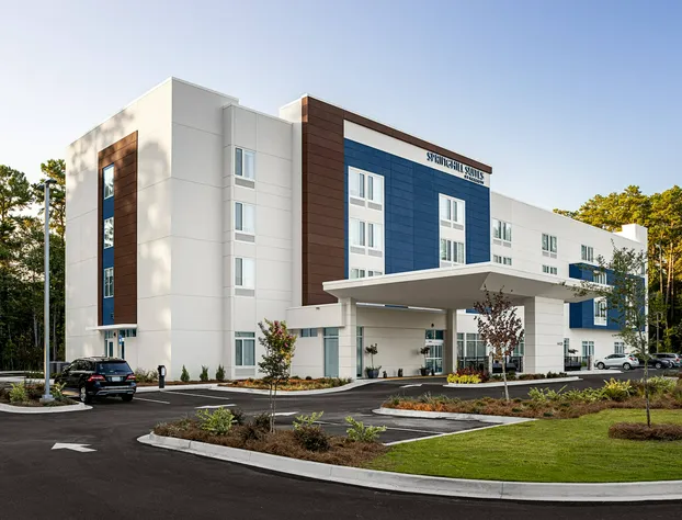 SpringHill Suites by Marriott Savannah Richmond Hill hotel detail image 1