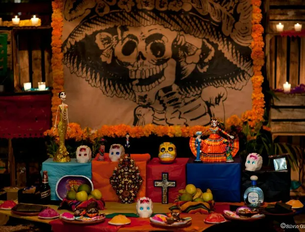 Casa Felicidad B&B Room & Kitchen hotel detail image 2