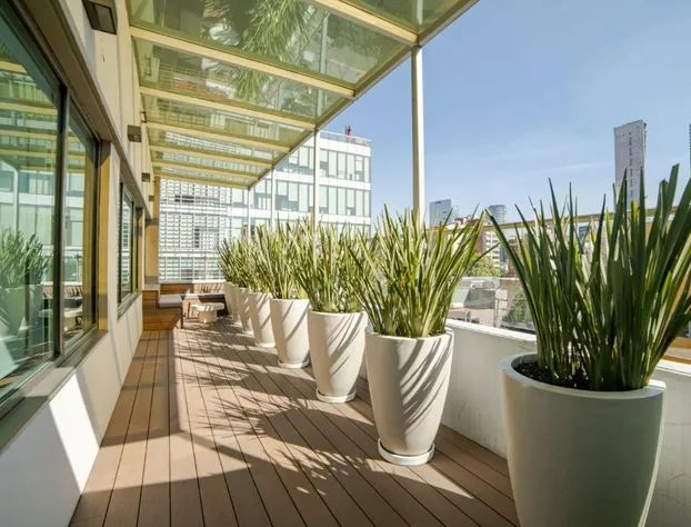 City Express Suites by Marriott Ciudad de México Anzures hotel detail image 3