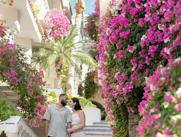 Mar del Cabo By Velas Resorts hotel detail image 4