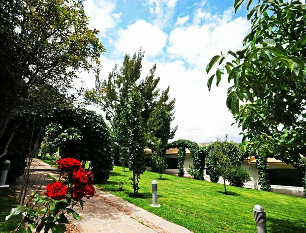 Hotel Baruk Teleférico Centro Histórico hotel detail image 4