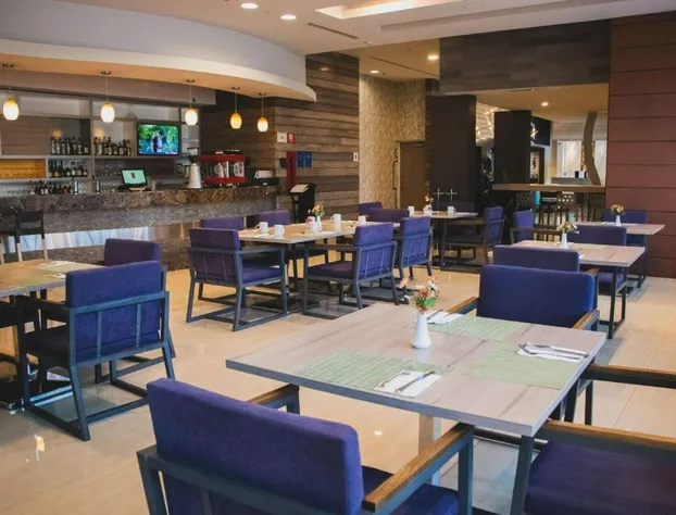 Hilton Garden Inn Leon hotel detail image 3