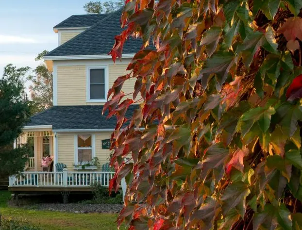 Bayview Pines Country Inn hotel detail image 4