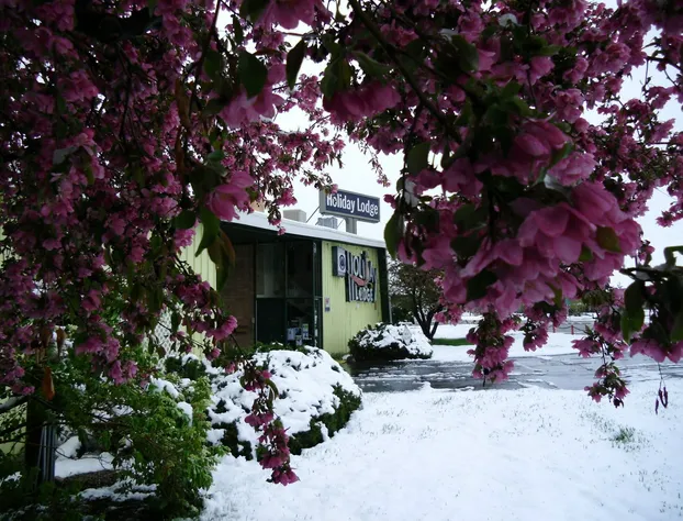 Holiday Lodge Motel hotel detail image 1