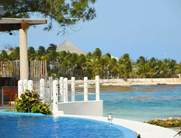 Senses Riviera Maya Oceanfront Boutique hotel - Adults only hotel detail image 3