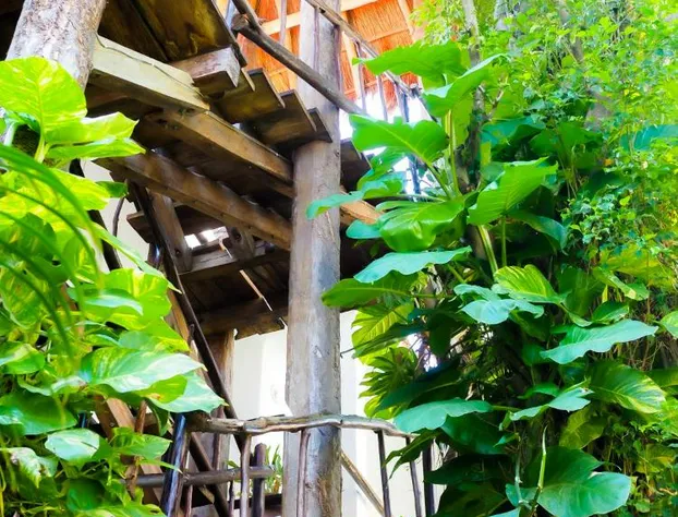 Kinbe Deluxe Boutique Hotel hotel detail image 4