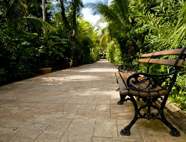 Catalonia Playa Maroma – All Inclusive hotel detail image 2