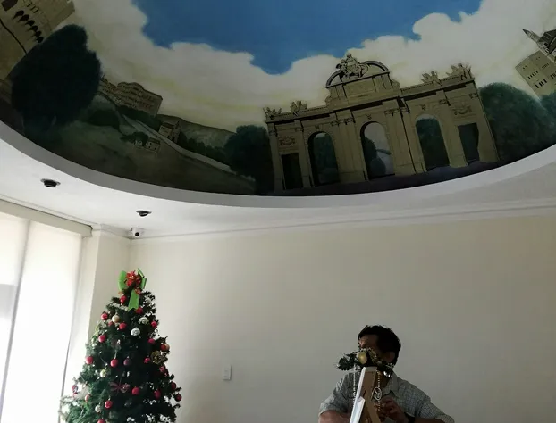 Hotel El Español Centro Histórico hotel detail image 4