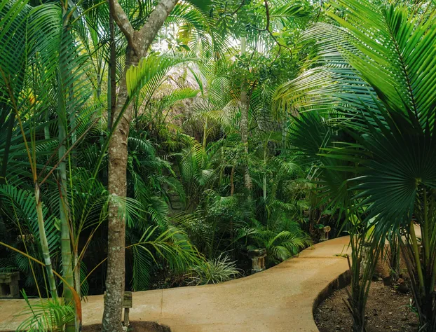 Aldea Coba an Escape Experience hotel detail image 4